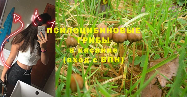 спиды Белоозёрский